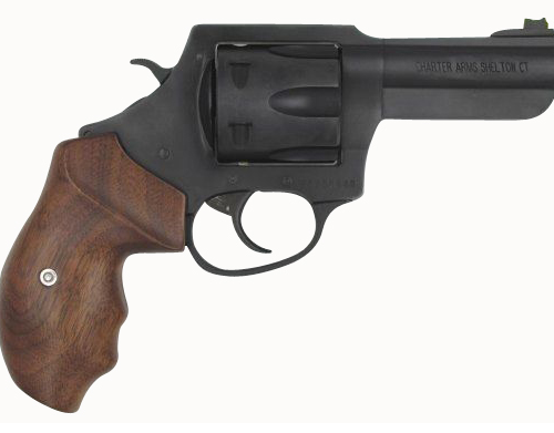 CHARTER ARMS THE PROFESSIONAL 357MAG 4.2"
