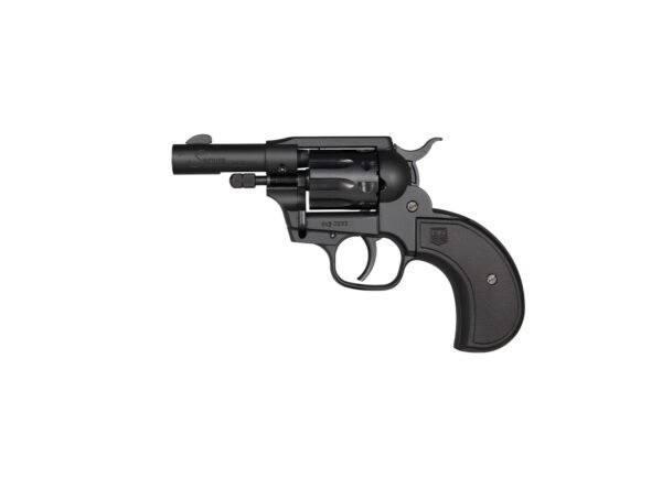 DIAMONDBACK FIREARMS SIDEKICK 22LR/22M BK BIRDSHEAD