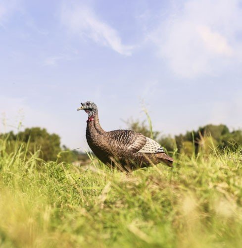 FLEXTONE THUNDER CHICK UPRIGHT - HEN DECOY W/STAKE