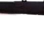 SAVAGE B17F 17HMR 21" SPORTER - BBL ACCU-TRIGGER BLACK SYN