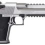 DESERT EAGLE MARK XIX 44MAG - 6" S/S MUZZLE BRK BLK/APPOINT