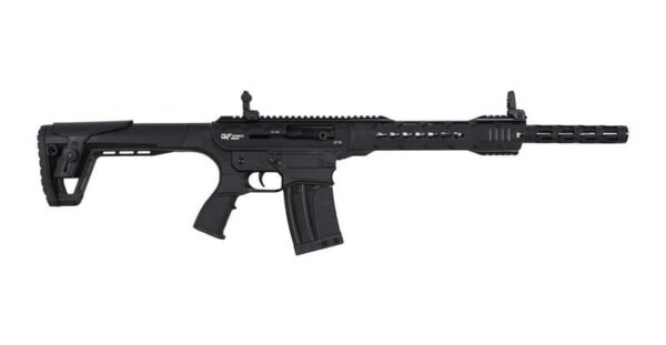 gf25blkc2aa.jpg GFORCE ARMS GF25 12/18.5 BLACK 5+1