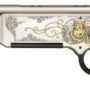 HENRY H14 LONG RANGER COYOTE - 223REM/5.56 20" ENGRAVED
