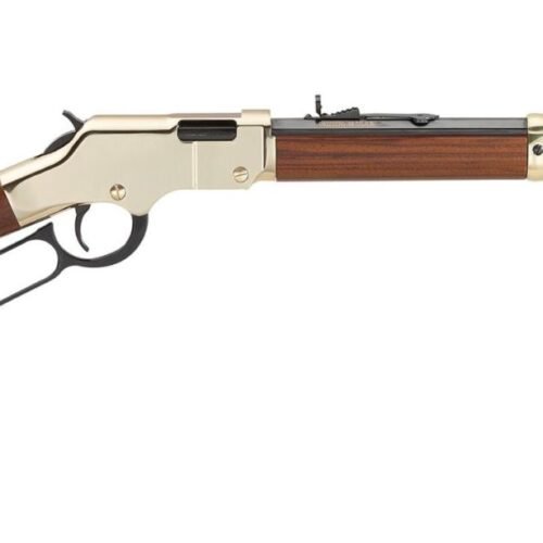 HENRY REPEATING ARMS H4 GOLDEN BOY 17HMR BL/WD