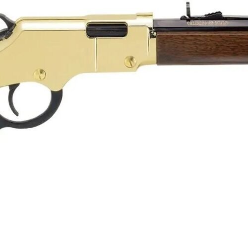 h004yab2d HENRY REPEATING ARMS H4 GOLDEN BOY 22LR BL/WD CPT