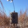 MOJO SUPER CRITTER W/CRITTER - TOPPER & SPEAKER