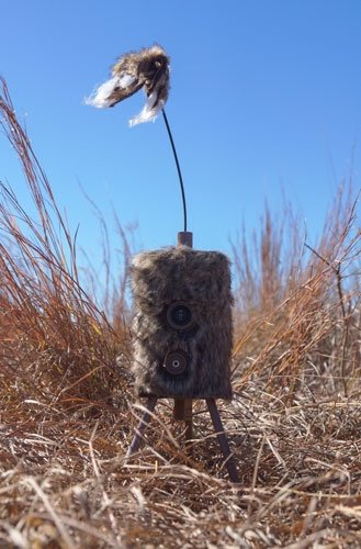 hw2304_field.jpg MOJO SUPER CRITTER W/CRITTER - TOPPER & SPEAKER