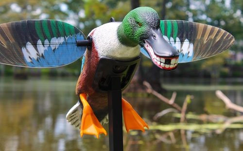 MOJO ELITE SERIES SPOONZILLA - MALLARD DRAKE DECOY