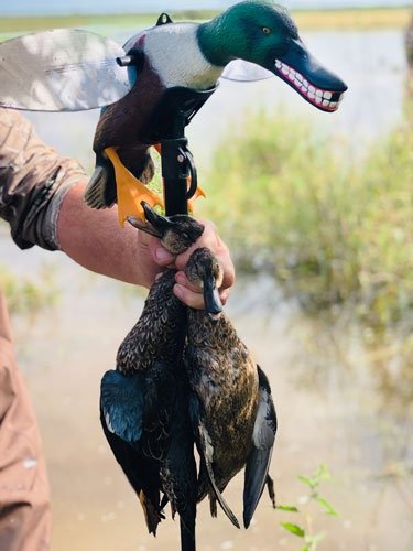 MOJO ELITE SERIES SPOONZILLA - MALLARD DRAKE DECOY