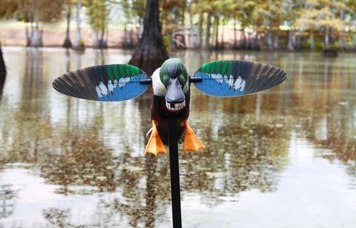 MOJO ELITE SERIES SPOONZILLA - MALLARD DRAKE DECOY