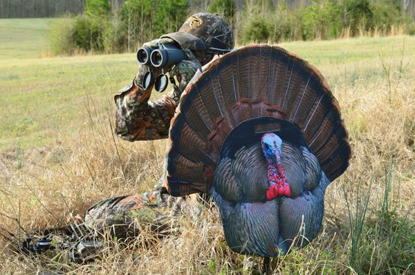 m0058_in-use.jpg MONTANA DECOY TURKEY GOBBLER - FANATIC 2D ?