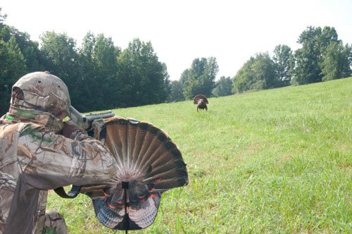m0058_in-use_2.jpg MONTANA DECOY TURKEY GOBBLER - FANATIC 2D ?