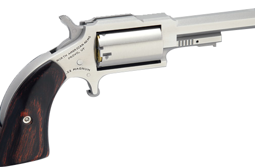 NORTH AMERICAN ARMS SHERIFF 22LR/22MAG 2.5" SS 5SH