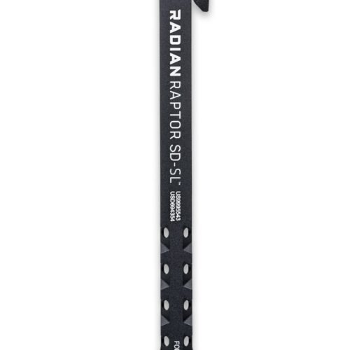 r0278433d.jpg RADIAN WEAPONS RAPTOR SD/SL CHARGING HNDL BLK