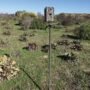 STEALTH CAM TRAIL CAM MOUNTING - STICK 34" HIGH STEEL