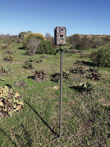 STEALTH CAM TRAIL CAM MOUNTING - STICK 34" HIGH STEEL
