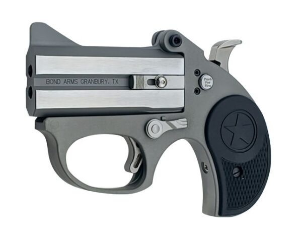 stinger22bba4.jpg BOND ARMS STINGER 22LR SS 3" FS