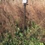 HME TRAIL CAM GROUND MOUNTING - STICK ADJUSTABLE 26"-36"