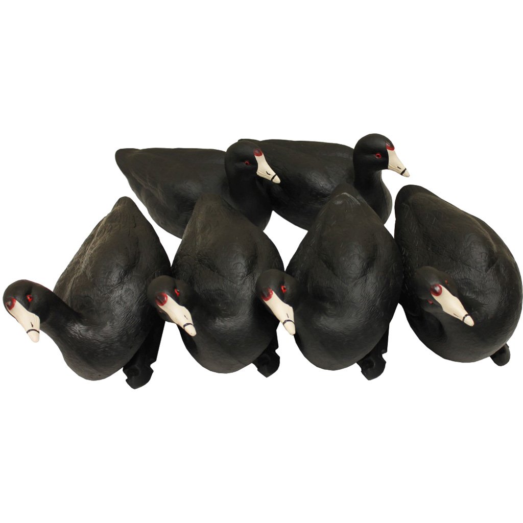 1003659_1.jpg MOJO Coot Confidence Decoys 6 pk.
