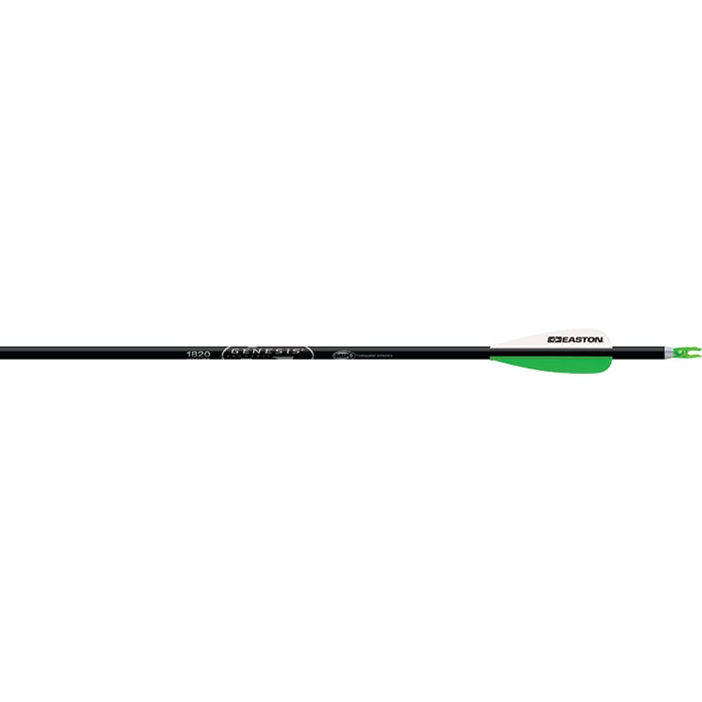 1004856_1.jpg Easton Genesis Arrows 3 in. Vanes Silver 6 pk.