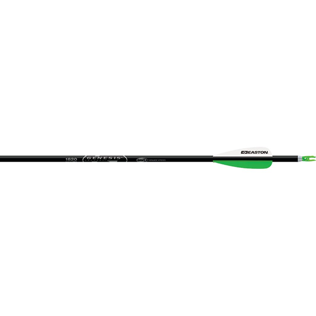 1004857_1.jpg Easton Genesis Arrows 3 in. Vanes Silver 36 pk.