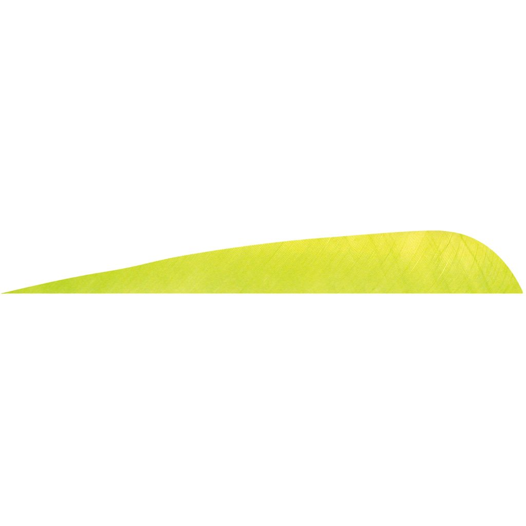 1006457_1.jpg Gateway Parabolic Feathers Lime 5 in. RW 12 pk.