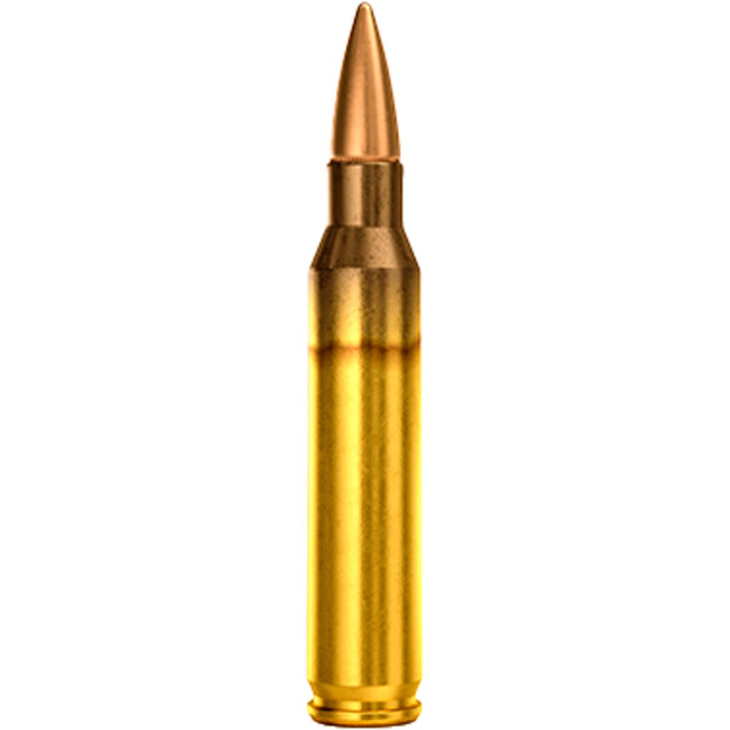 Magtech Rifle Ammo 5.56X45 M193 55 gr. FMJ 50 rd.