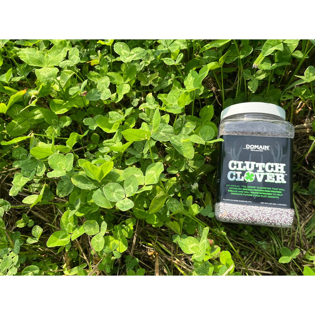 Domain Clutch Clover Seed 1/4 Acre