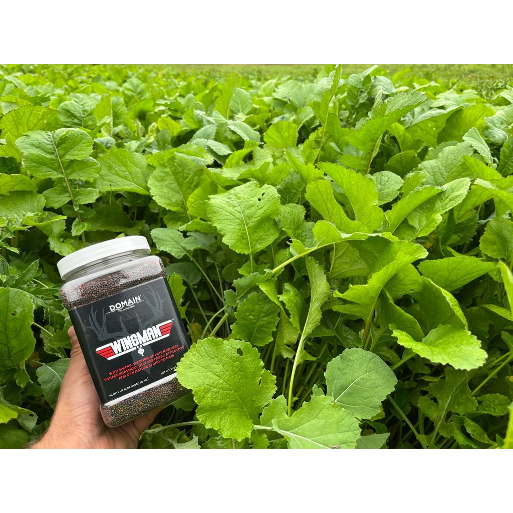 1102884_2.jpg Domain Wingman Seed 1/4 Acre
