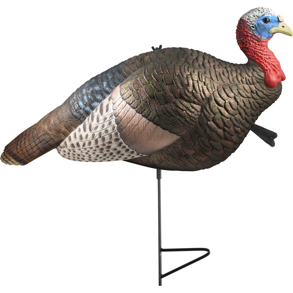 1203091_1 The Grind 1/2 Strut Jake Turkey Decoy
