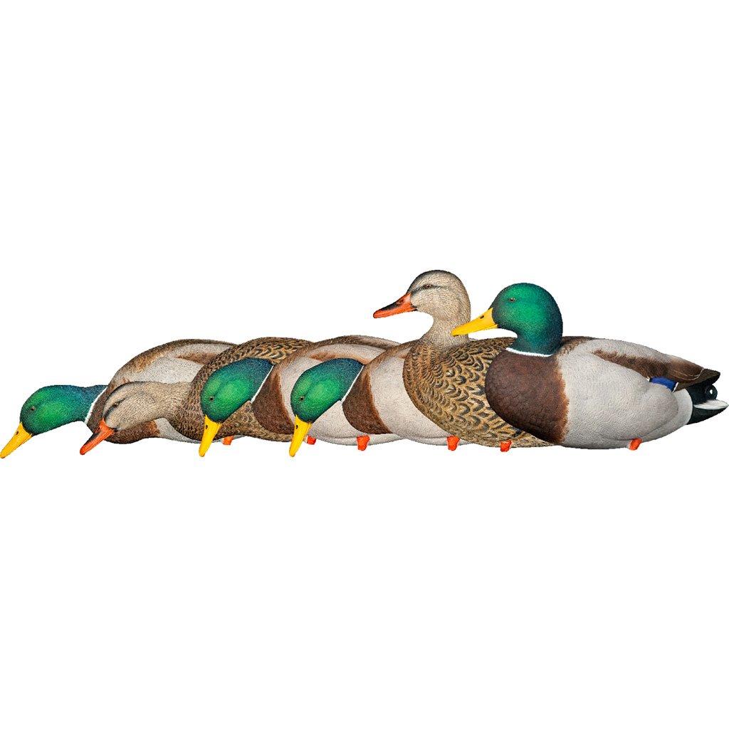 1208518_1.jpg Avian X AXP Fusion Duck Decoys Mallards 6 pk.