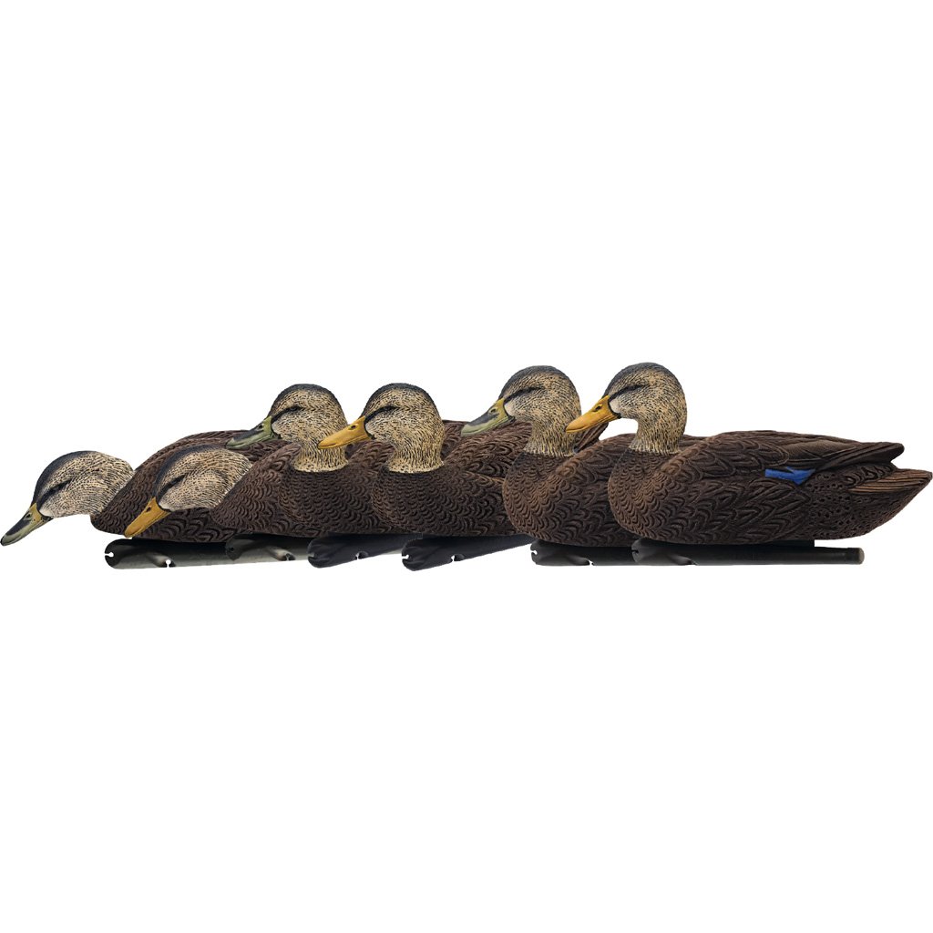 Avian X Top Flight Duck Decoys Flocked Black Duck 6 pk.