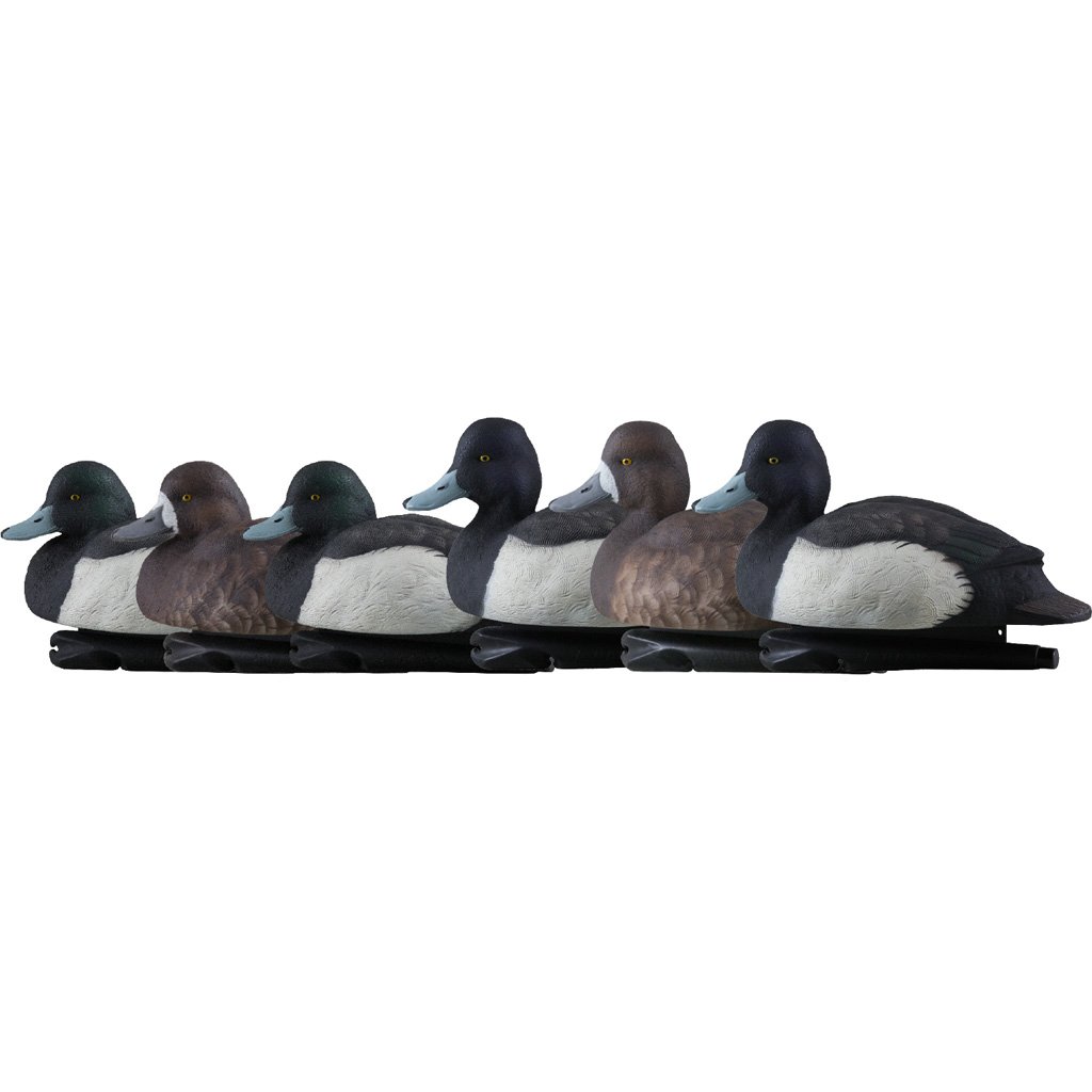 1208521_1.jpg Avian X Top Flight Duck Decoys Blue Bills 6 pk.