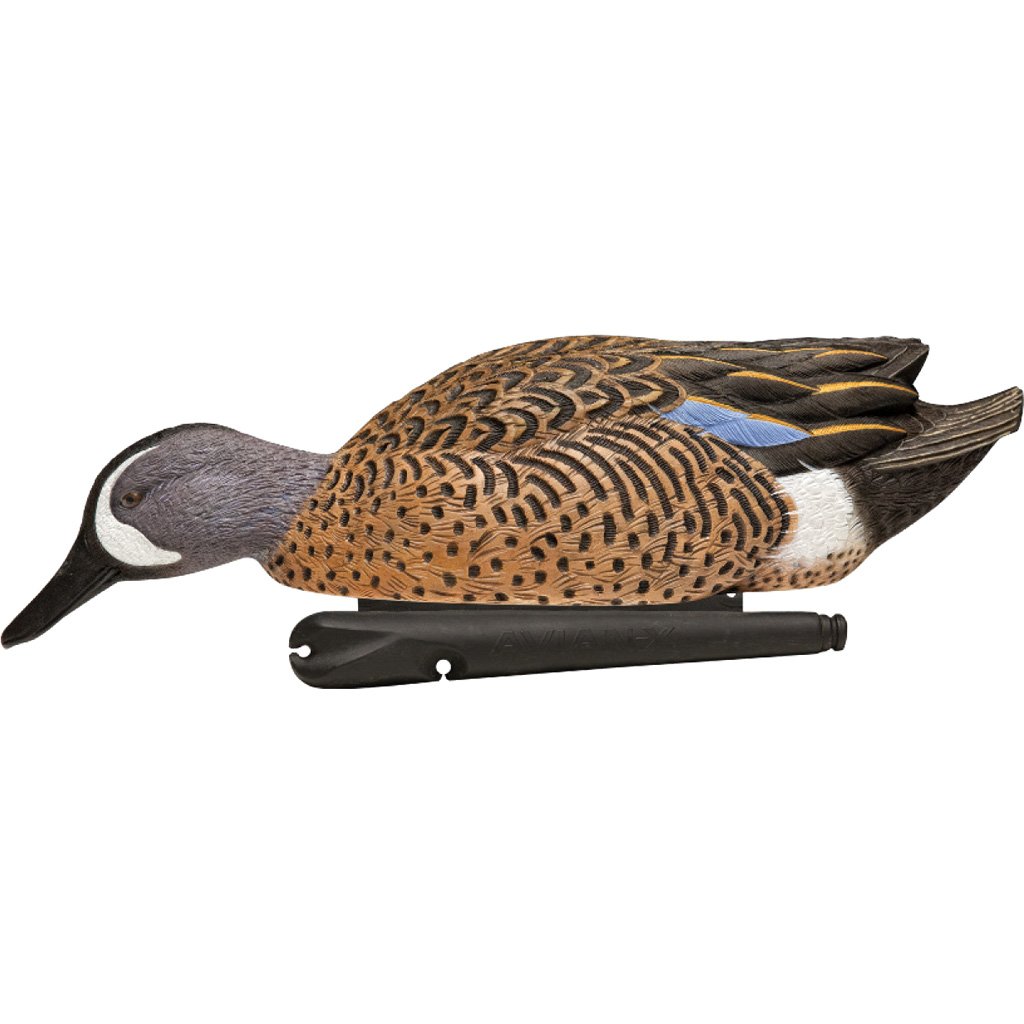 1208532_3.jpg Avian X Top Flight Duck Decoys Blue-Winged Teal 6 pk.