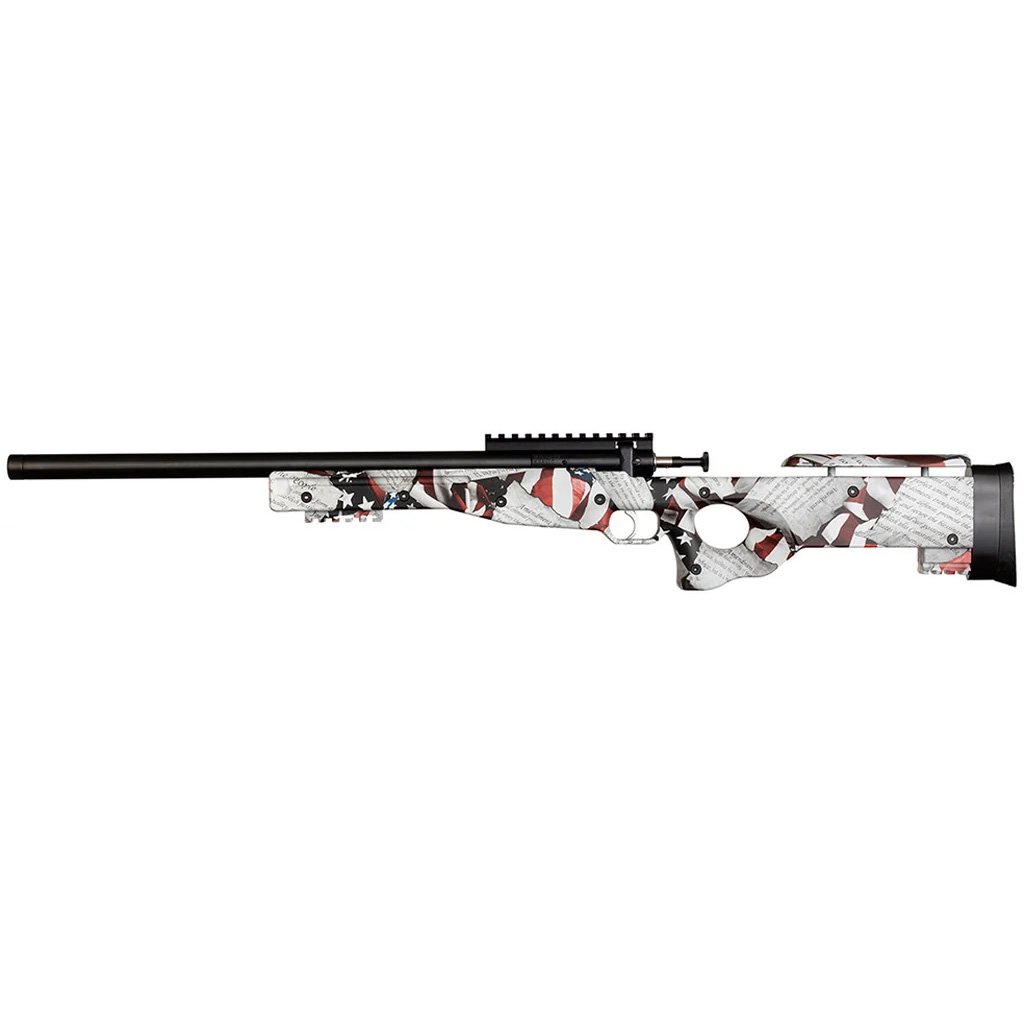 Keystone Crickett Precision Rifle 22 LR Blued/2nd Amendment Print