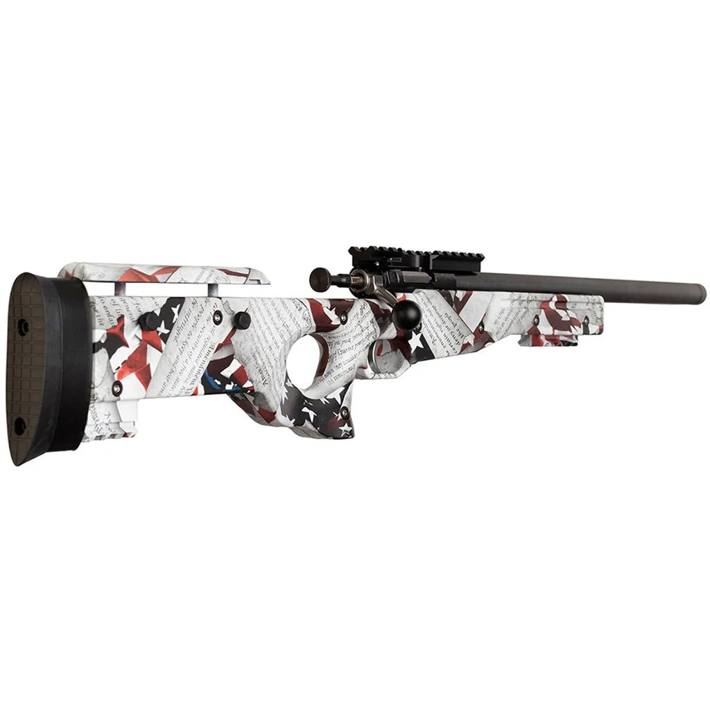 Keystone Crickett Precision Rifle 22 LR Blued/2nd Amendment Print