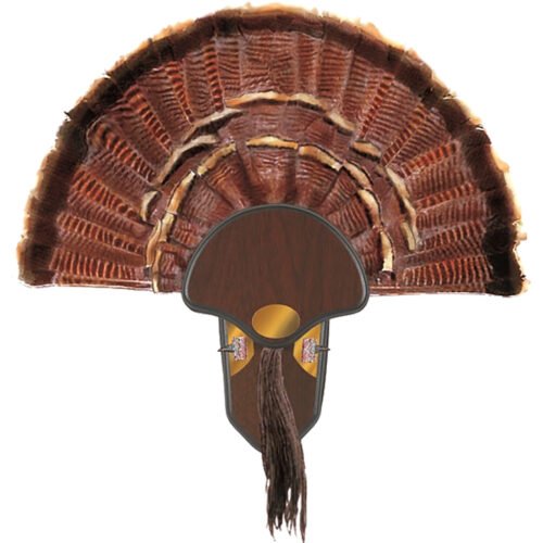 1401601_2.jpg Allen Turkey Tail Mounting Kit