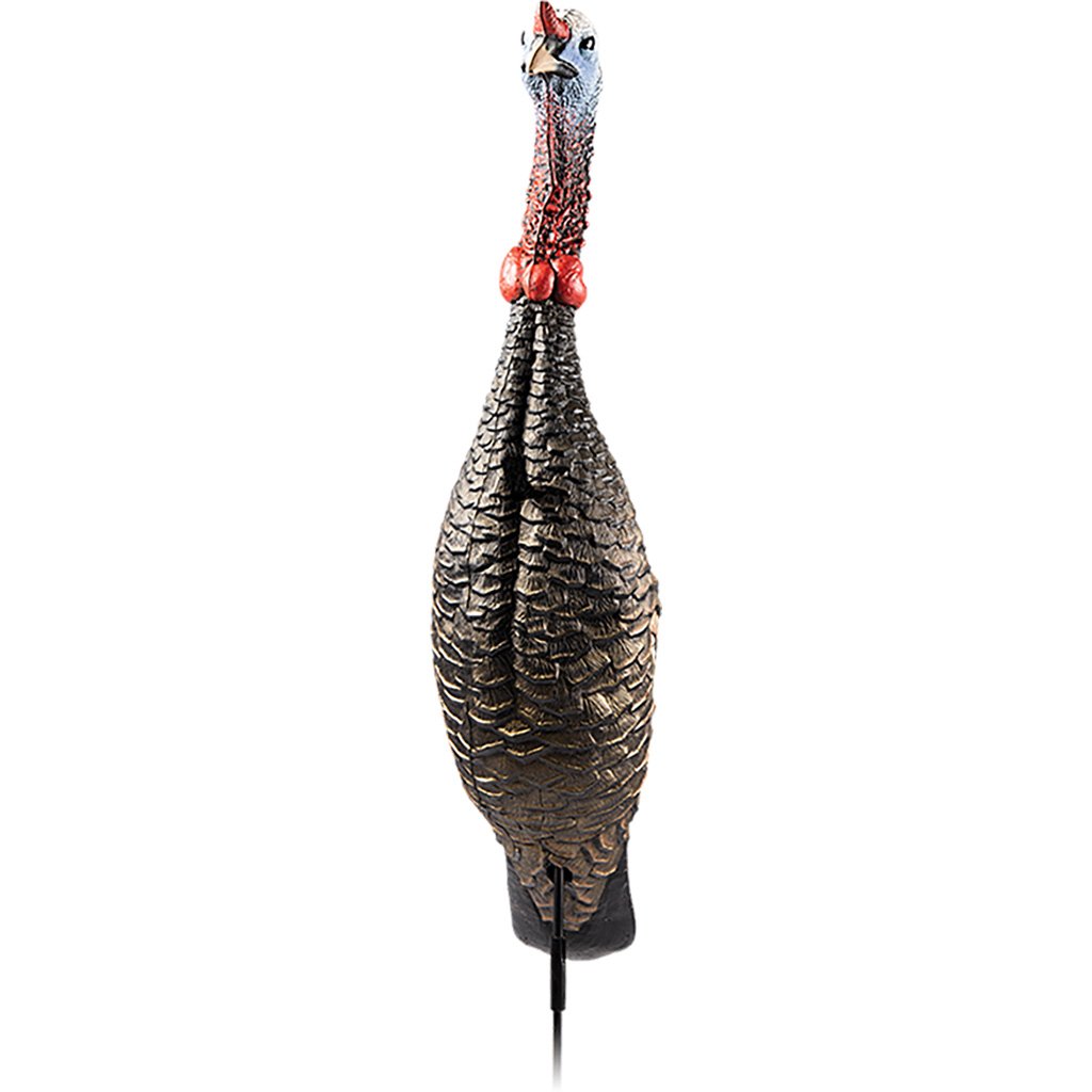 1401808_2.jpg Flextone Funky Chicken Gen 2 Turkey Decoy