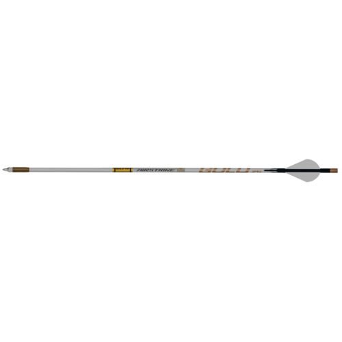 1404848_1.jpg Gold Tip AirStrike Arrows 250 Raptor Vanes 6 pk.
