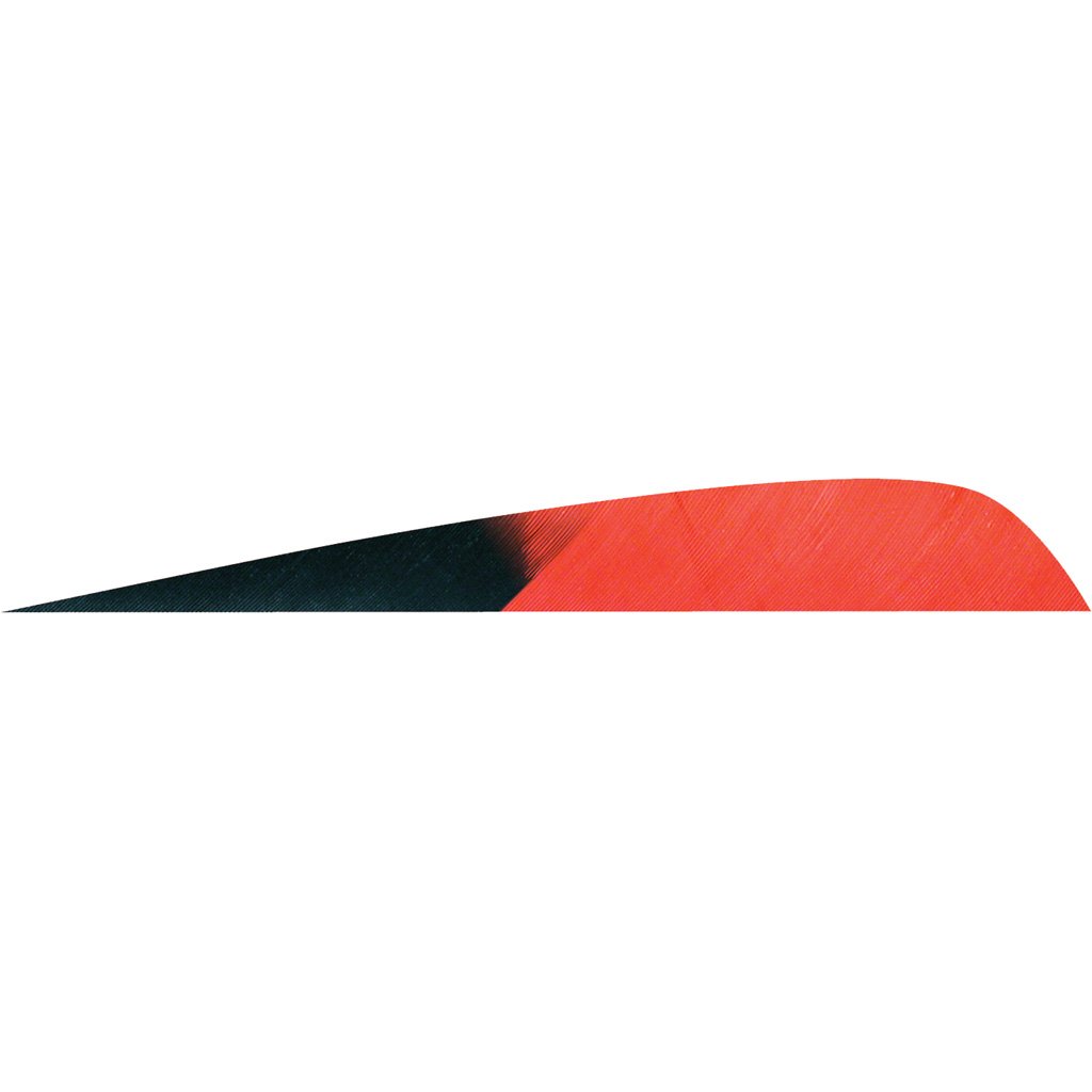 1406944_1.jpg Gateway Parabolic Feathers Kuro Red 4 in. LW 50 pk.