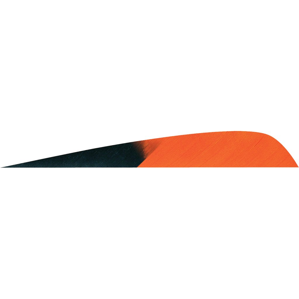 1406946_1.jpg Gateway Parabolic Feathers Kuro Tangerine 4 in. LW 50 pk.