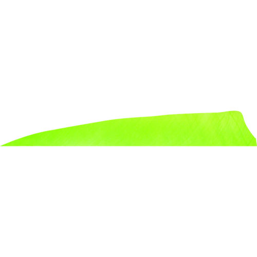 1406964_1.jpg Gateway Shield Cut Feathers Charteuse 4 in. LW 50 pk.