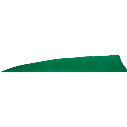 1406979_1.jpg Gateway Shield Cut Feathers Green 4 in. LW 50 pk.