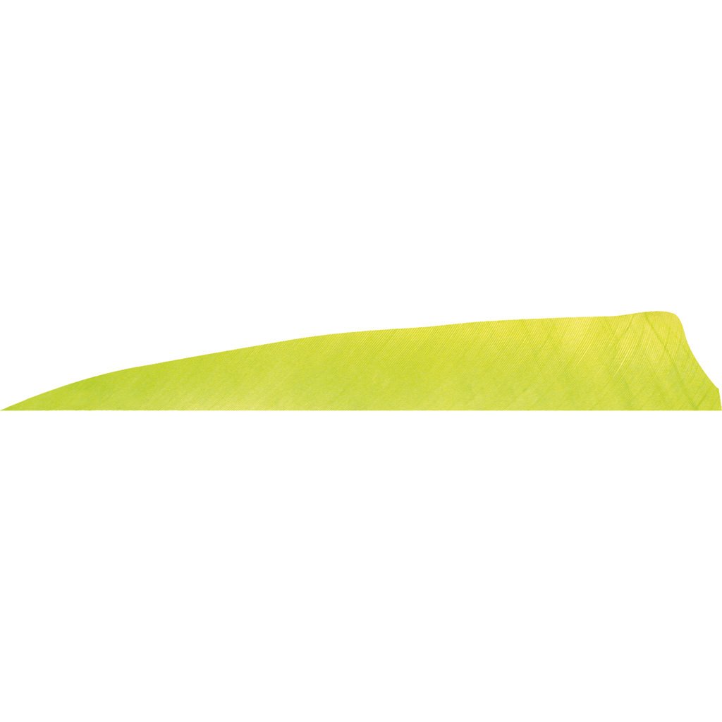 1406994_1.jpg Gateway Shield Cut Feathers Lemon Lime 4 in. LW 50 pk.