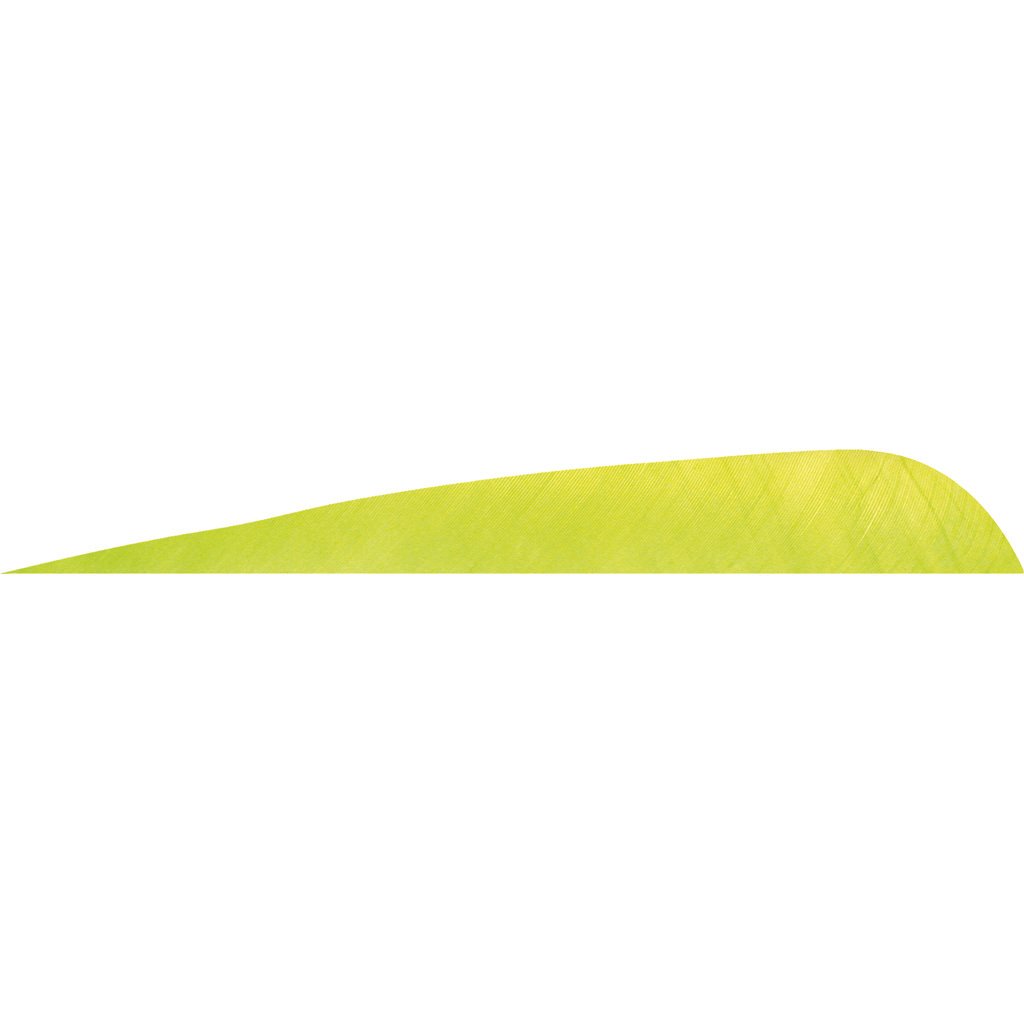 1407038_1.jpg Gateway Parabolic Feathers Lemon Lime 4 in. RW 50 pk.