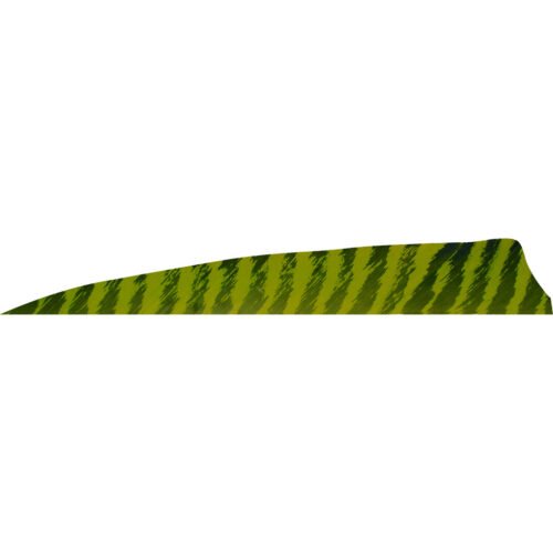 Gateway Shield Cut Feathers Barred Chartreuse 4 in. RW 50 pk.