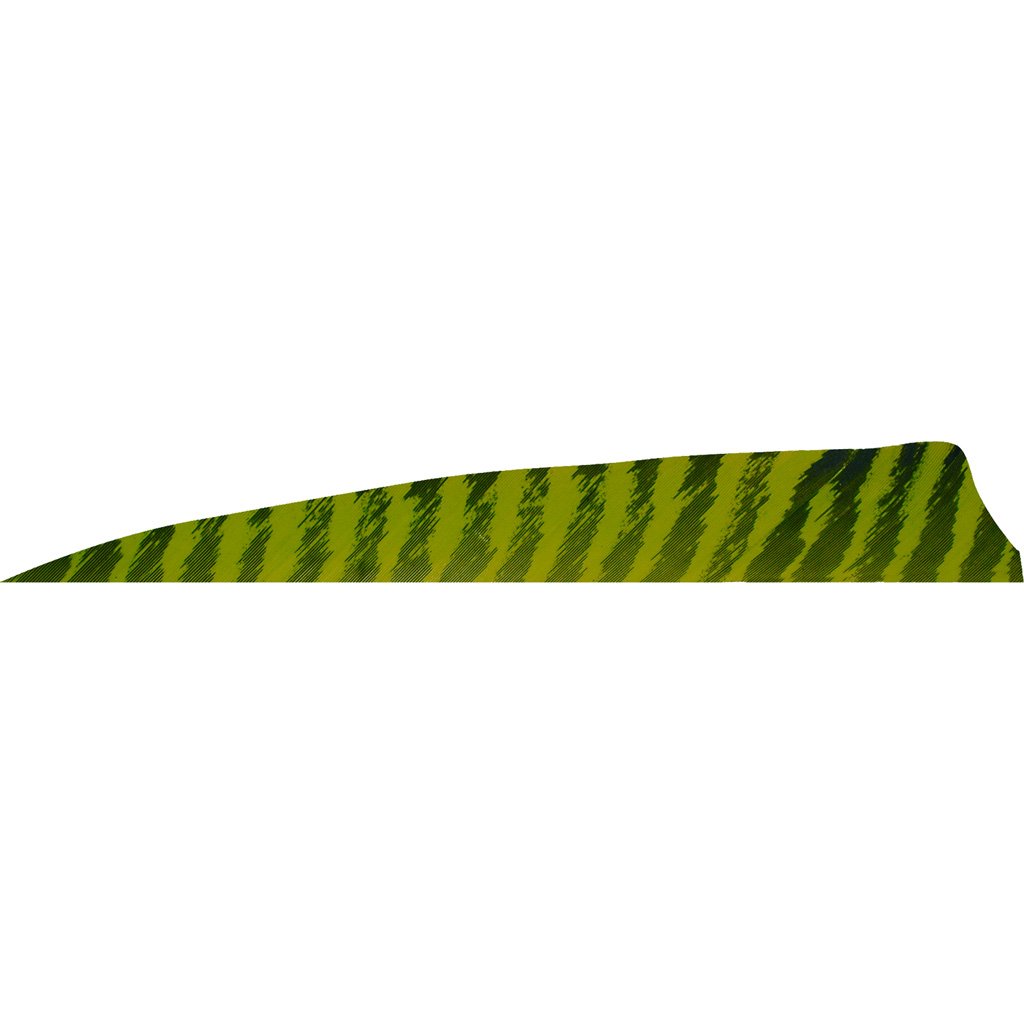 1407061_1.jpg Gateway Shield Cut Feathers Barred Chartreuse 4 in. RW 50 pk.