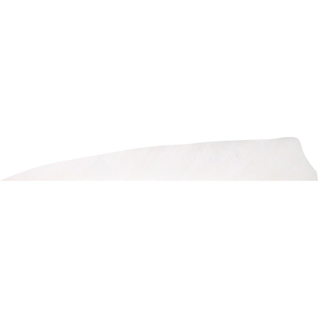 Gateway Shield Cut Feathers Flo White 4 in. RW 50 pk.