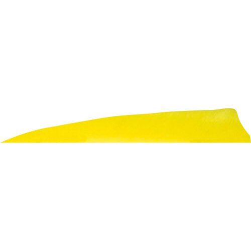 1407072_1.jpg Gateway Shield Cut Feathers Flo Yellow 4 in. RW 50 pk.