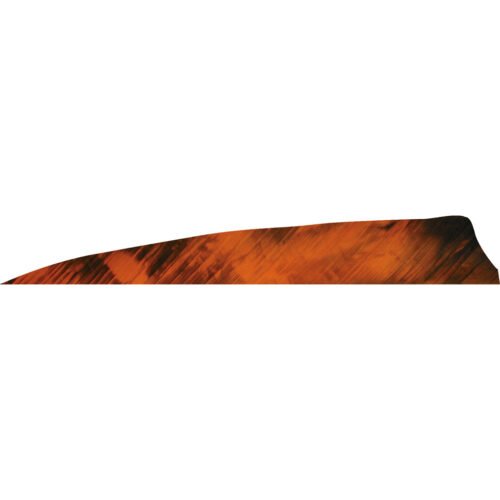 Gateway Shield Cut Feathers Tre Orange 4 in. RW 50 pk.